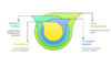 I will help you conduct exploratory data analysis using Python and write report